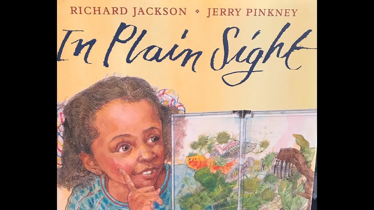 In Plain Sight Book Review